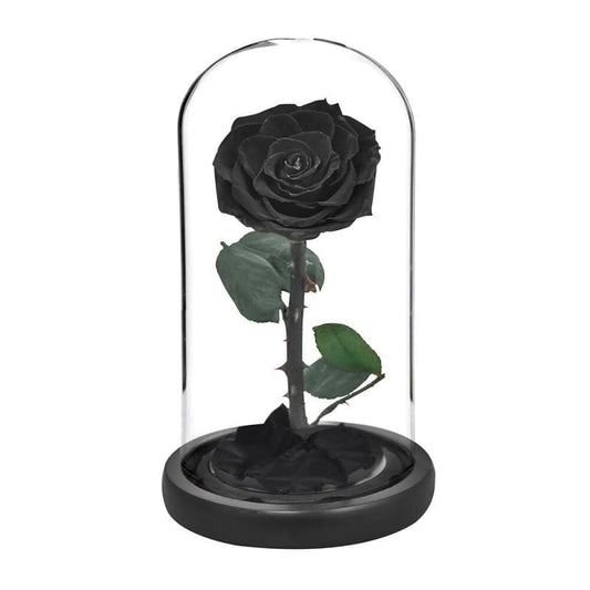 Eternal Rose Under Bell Black XL - Couple-Gift-Store