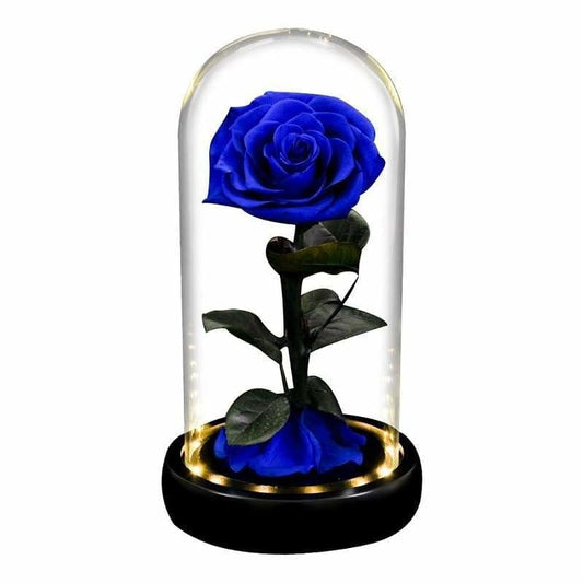 Eternal Rose Under Bell Blue Led XL - Couple-Gift-Store