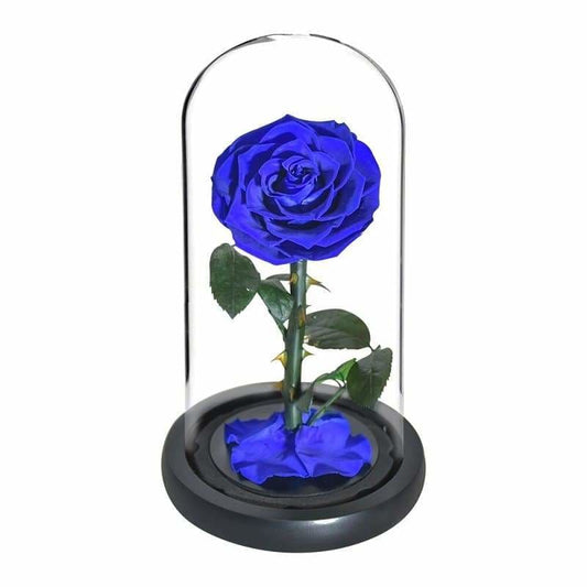 Eternal Rose Under Bell Blue XL - Couple-Gift-Store