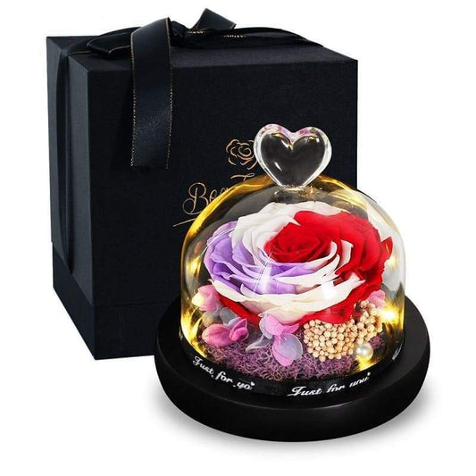Eternal Rose under Bell Emotions - Couple-Gift-Store