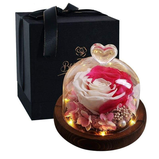 Eternal Rose Under Bell Pink and White - Couple-Gift-Store
