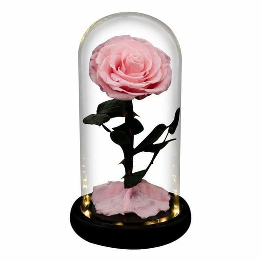 Eternal Rose Under Bell Pink Led XL - Couple-Gift-Store