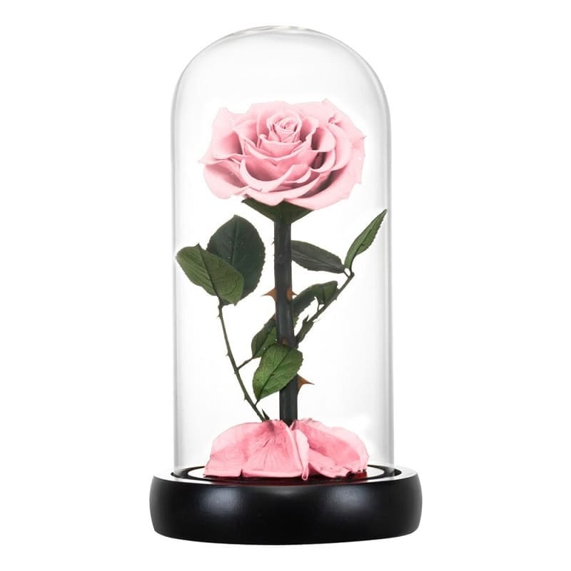Eternal Rose Under Bell Pink XL - Couple-Gift-Store
