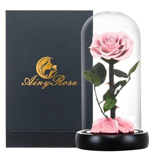 Eternal Rose Under Bell Pink XL (With box) - Couple-Gift-Store