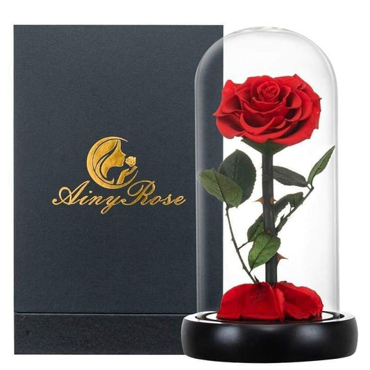 Eternal Rose Under Bell Red XL (With box) - Couple-Gift-Store