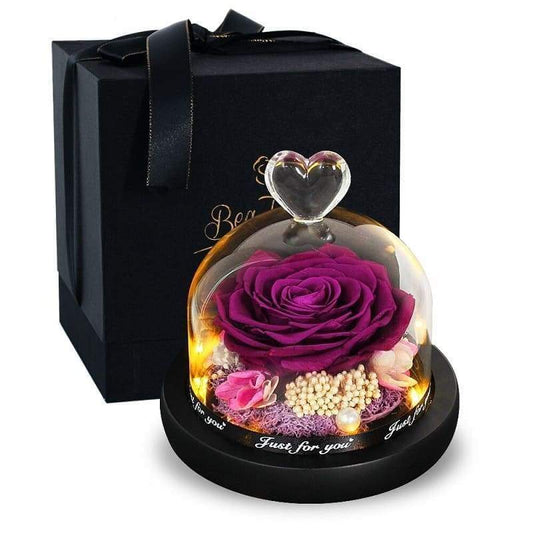 Eternal Rose Under Bell Violet - Couple-Gift-Store