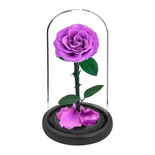 Eternal Rose Under Bell Violet XL - Couple-Gift-Store