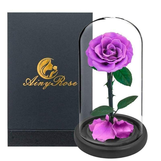 Eternal Rose Under Bell Violet XL (With box) - Couple-Gift-Store