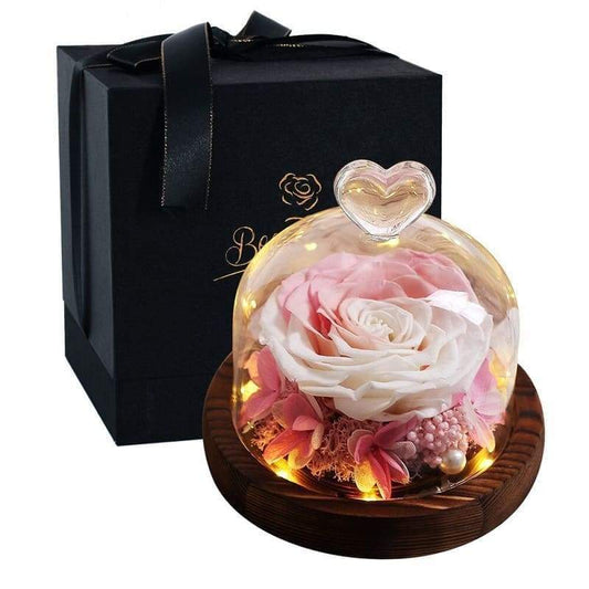 Eternal Rose Under Bell White and Pink - Couple-Gift-Store