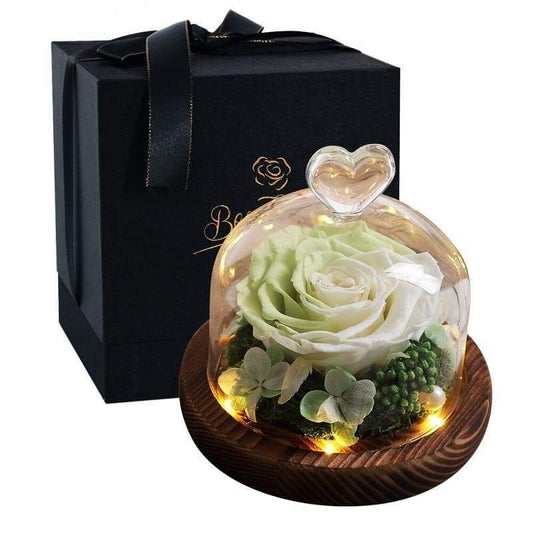 Eternel Rose Under Bell Bicolor - Couple-Gift-Store