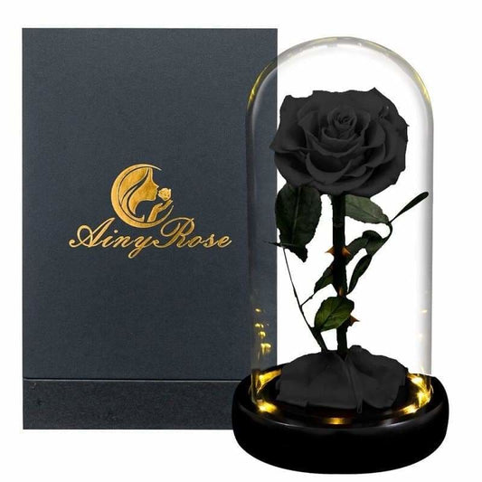 Black Led XL Eternal Rose Under Glass Bell