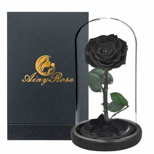 Black XL Eternal Rose Under Glass Bell
