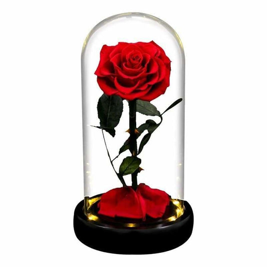 Red Led XL Eternal Rose Under Glass Bell