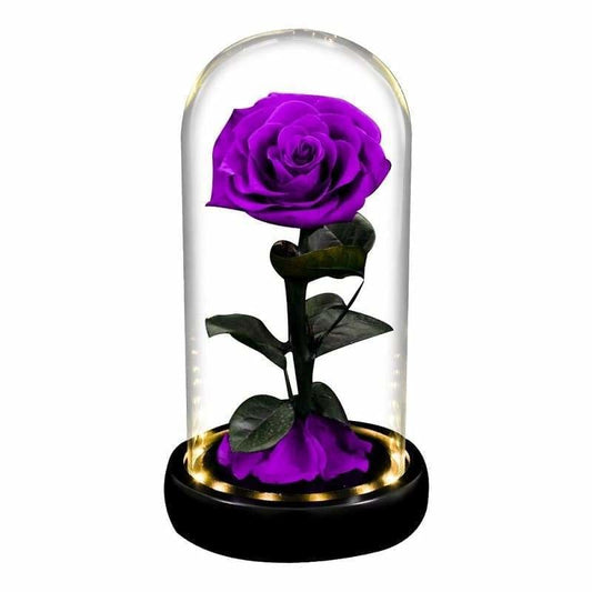 Violet Led XL Eternal Rose Under Glass Bell